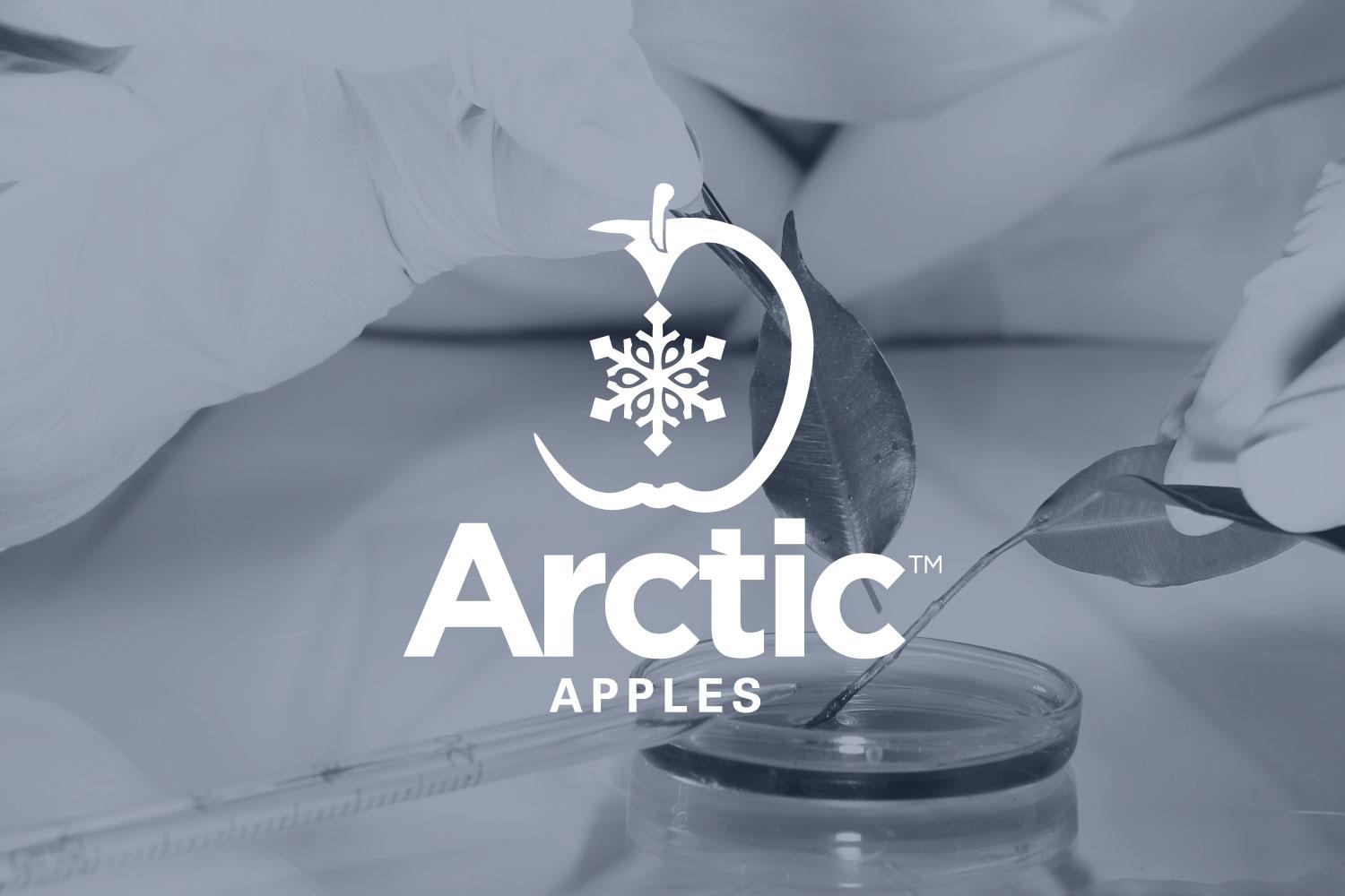 Supporting sales with unique marketing deliverables